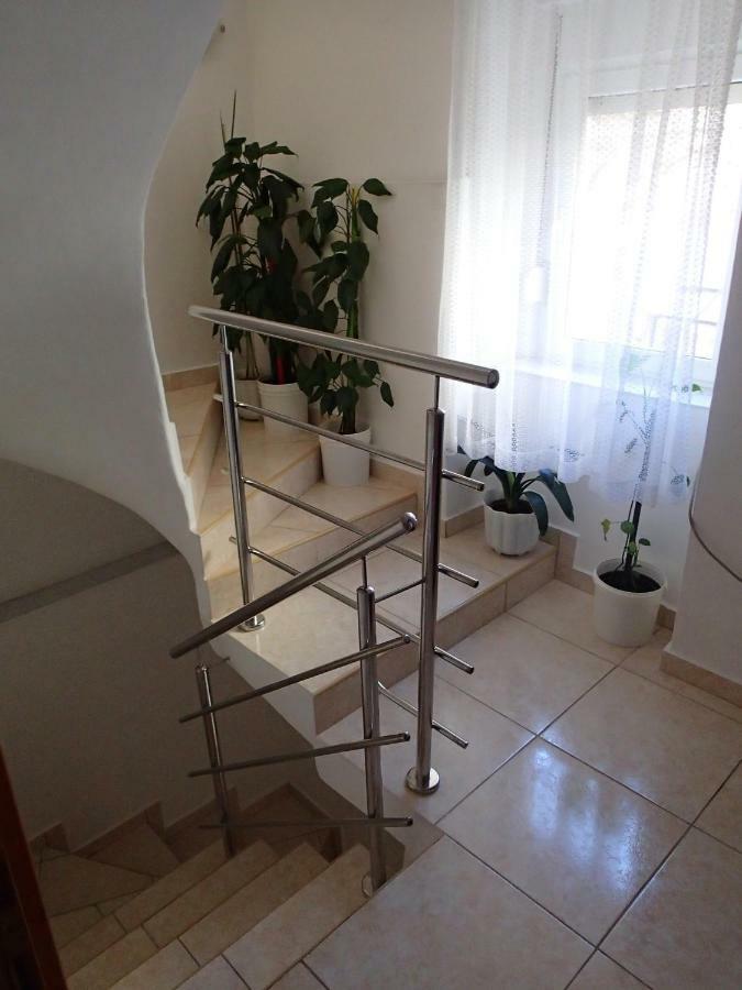 Apartments Violeta بيتينا المظهر الخارجي الصورة